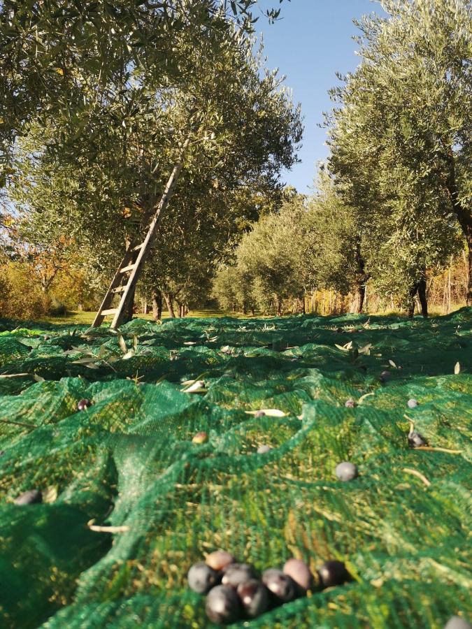 Agriturismo Roccagelli Vallo di Nera المظهر الخارجي الصورة