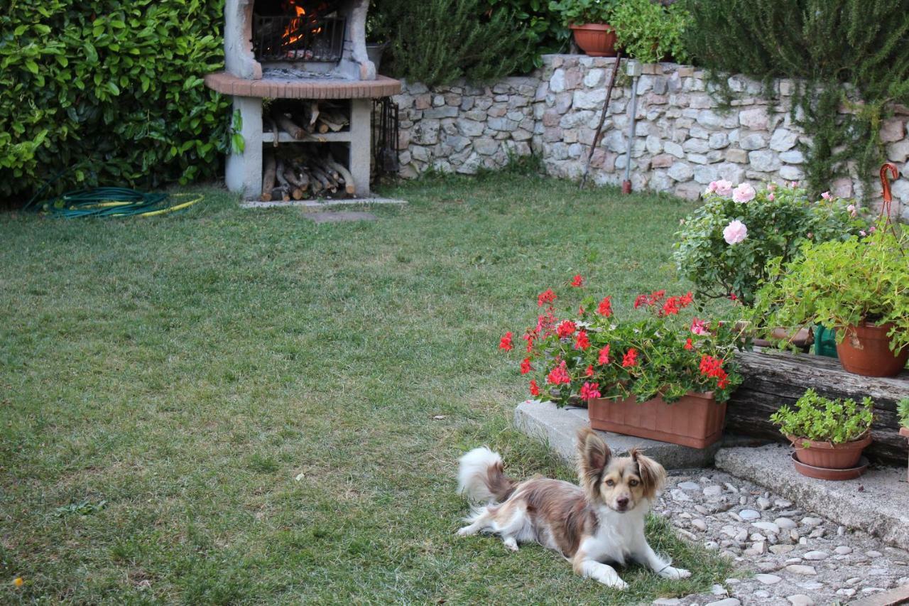 Agriturismo Roccagelli Vallo di Nera المظهر الخارجي الصورة