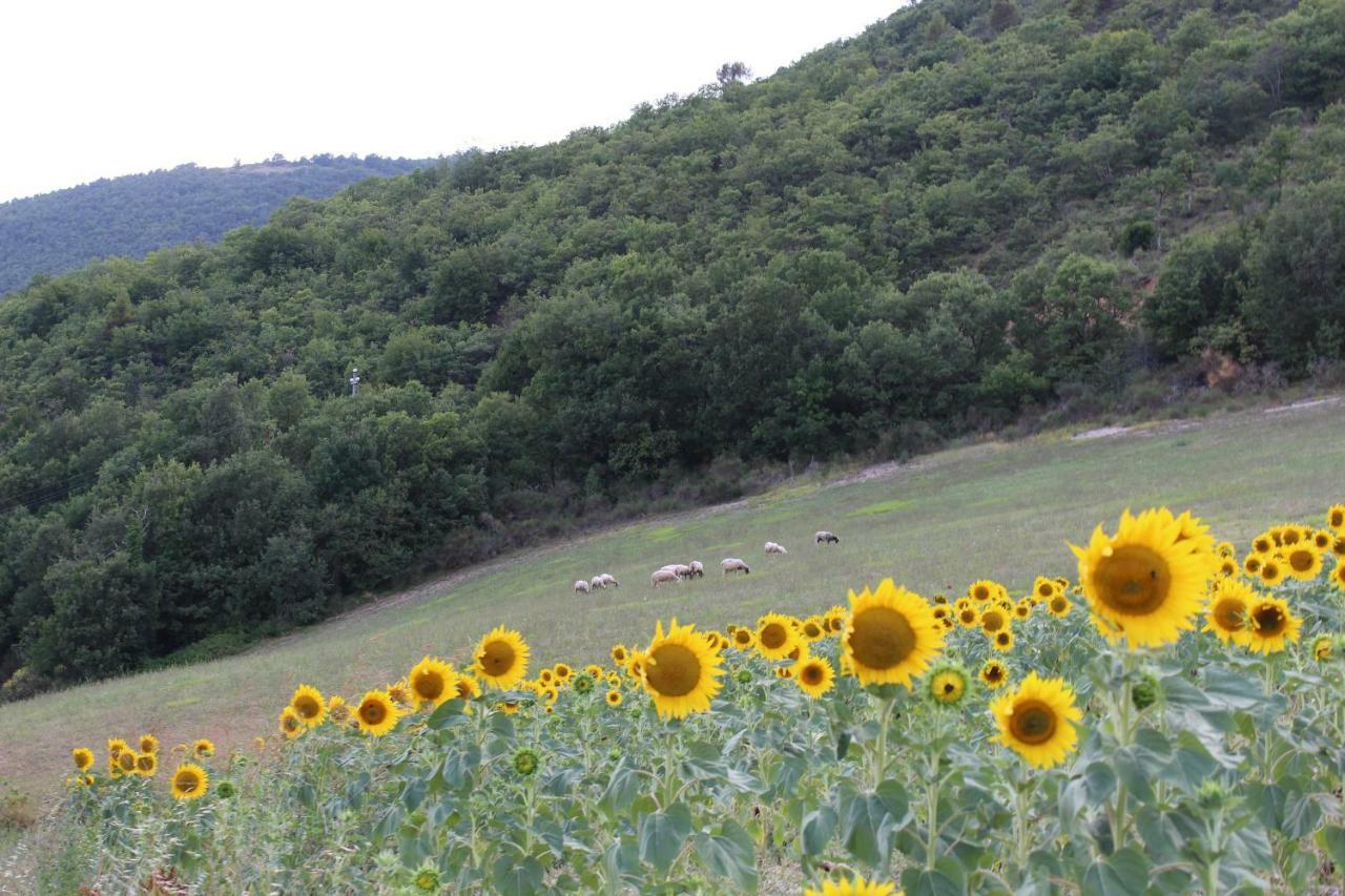 Agriturismo Roccagelli Vallo di Nera المظهر الخارجي الصورة